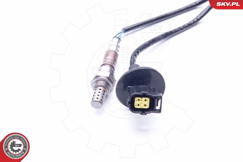 Oxygen Sensor